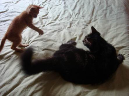 20080828_cc340061a002b3b2251dQrLlY9Js6Tte.jpg
