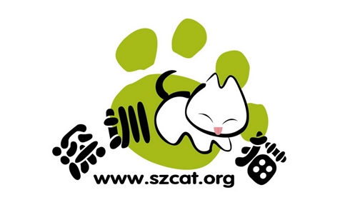 深圳猫网与光景宠物医院联合推出流浪猫免费治疗公益互助计划
