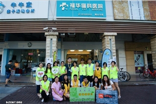 第45届“人猫面对面”领养日活动总结暨为什么囤猫有害