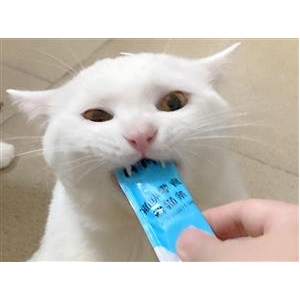 千千