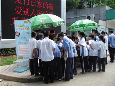 风雨兼程，十年猫网——2004年