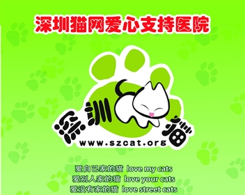 深圳猫网招募医院联络人，欢迎愿意为猫友服务的朋友报名!