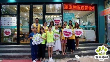 第63届深圳领养日——小狸花专场