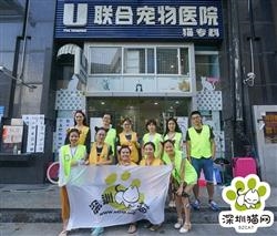 第54届深圳领养日活动花絮