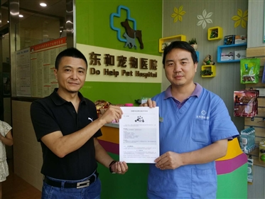 东和宠物医院成为猫网2016年合作支持医院