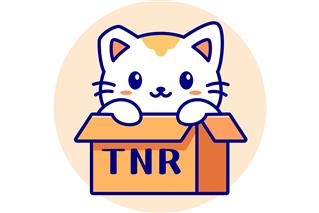 深圳猫网流浪猫社区TNR计划发起指南