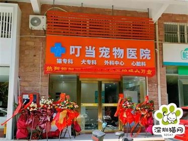 叮当龙城分院完成准入正式合作
