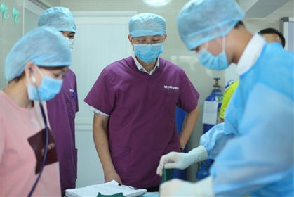深圳猫网第一届母猫侧切绝育手术技术交流会后记
