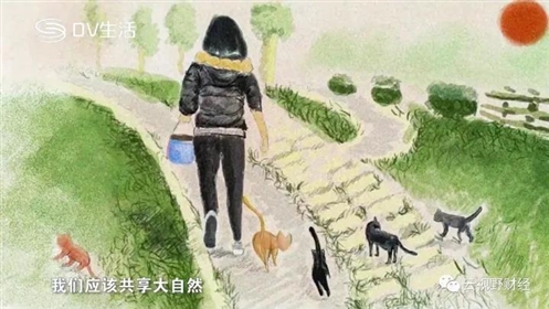 养猫的人时间长了，心会变得柔软