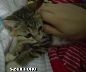 115347rvb8r88zwty0wz8e.jpg