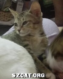 115426zhh8h38q8j35oqch.jpg