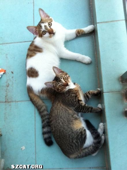 141310cakn1u6kaa4kscfa.jpg