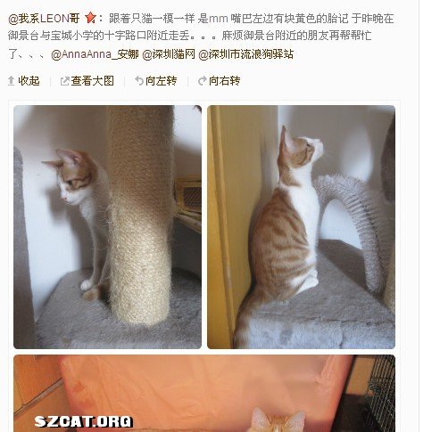 人口走失多久可以离婚_人口走失比例图