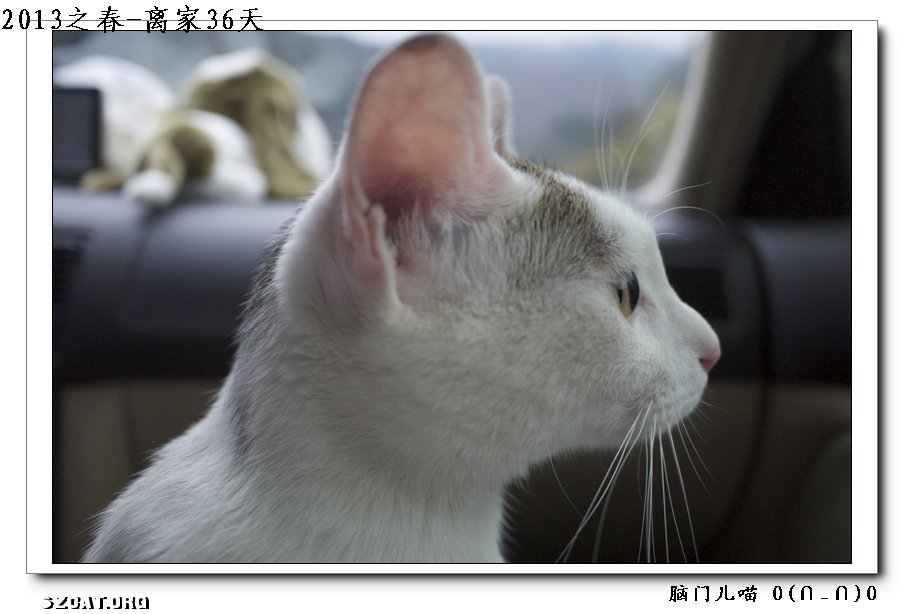 2019163g3gfl1gbb1q9ws3.jpg