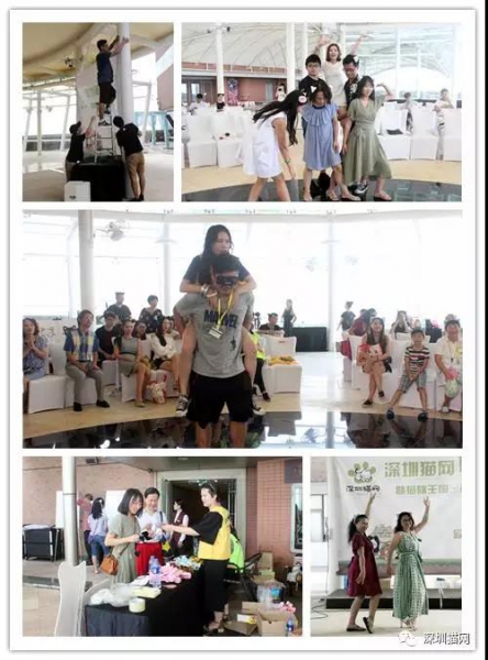 微信图片_20170923184731.jpg 微信图片_20170923184731.jpg