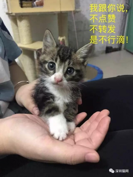 微信图片_20170923184814.jpg 微信图片_20170923184814.jpg