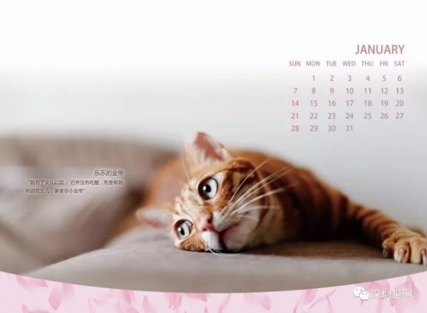 微信图片_20171210174122.jpg 微信图片_20171210174122.jpg