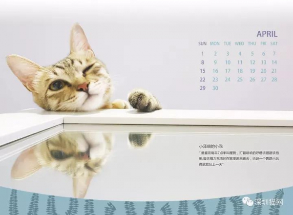 微信图片_20171210174141.jpg 微信图片_20171210174141.jpg