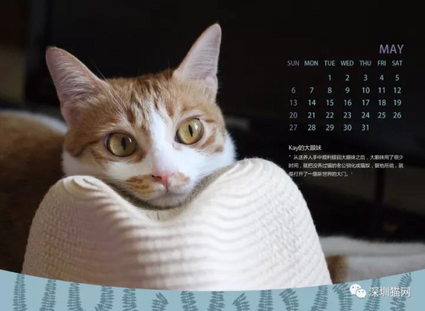微信图片_20171210174144.jpg 微信图片_20171210174144.jpg