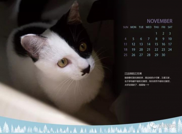 微信图片_20171210174219.jpg 微信图片_20171210174219.jpg