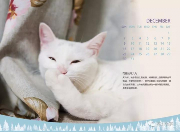 微信图片_20171210174221.jpg 微信图片_20171210174221.jpg