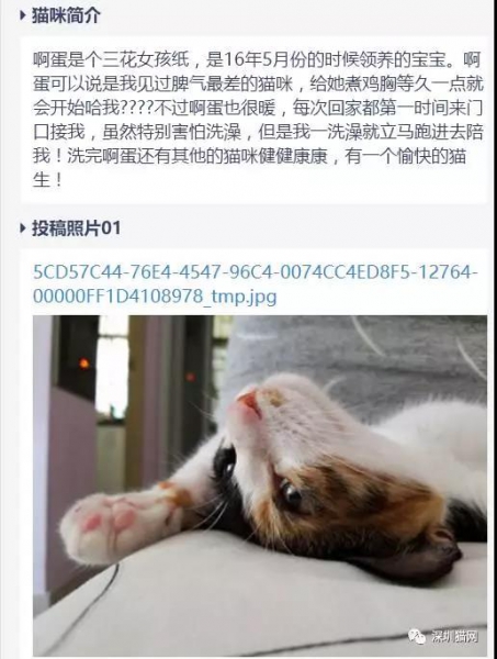 微信图片_20171210174240.jpg 微信图片_20171210174240.jpg