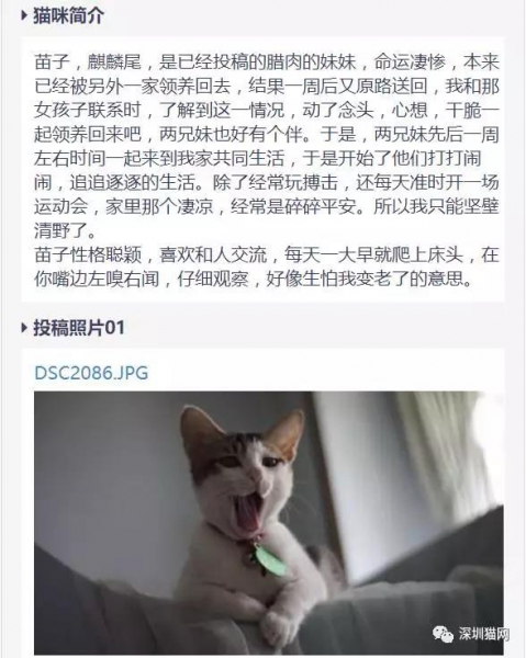 微信图片_20171210174244.jpg 微信图片_20171210174244.jpg
