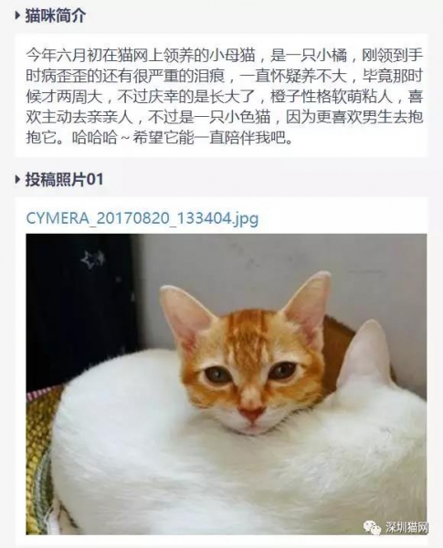 微信图片_20171210174248.jpg 微信图片_20171210174248.jpg