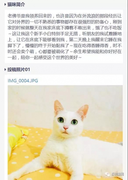 微信图片_20171210174250.jpg 微信图片_20171210174250.jpg