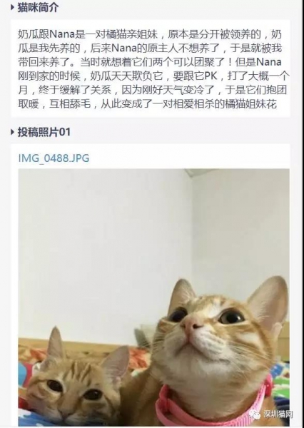 微信图片_20171210174253.jpg 微信图片_20171210174253.jpg