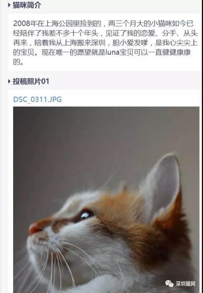 微信图片_20171210174256.jpg 微信图片_20171210174256.jpg