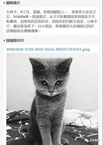 微信图片_20171210174259.jpg 微信图片_20171210174259.jpg
