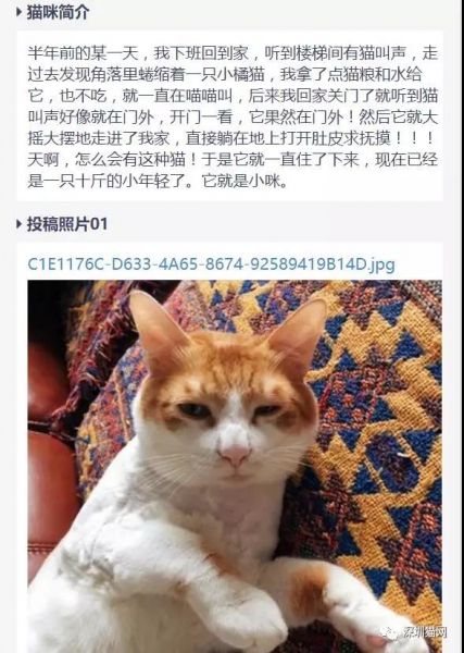 微信图片_20171210174302.jpg 微信图片_20171210174302.jpg