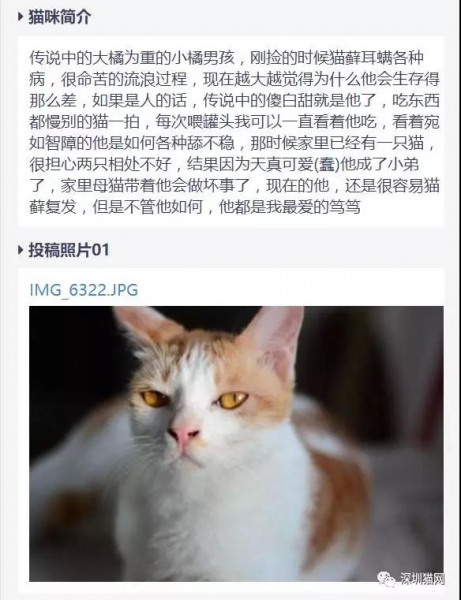 微信图片_20171210174305.jpg 微信图片_20171210174305.jpg