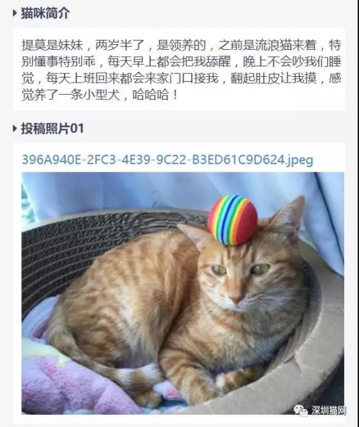 微信图片_20171210174307.jpg 微信图片_20171210174307.jpg
