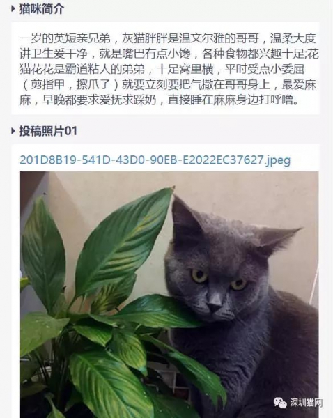 微信图片_20171210174314.jpg 微信图片_20171210174314.jpg