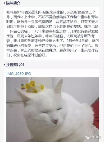 微信图片_20171210175359.jpg 微信图片_20171210175359.jpg