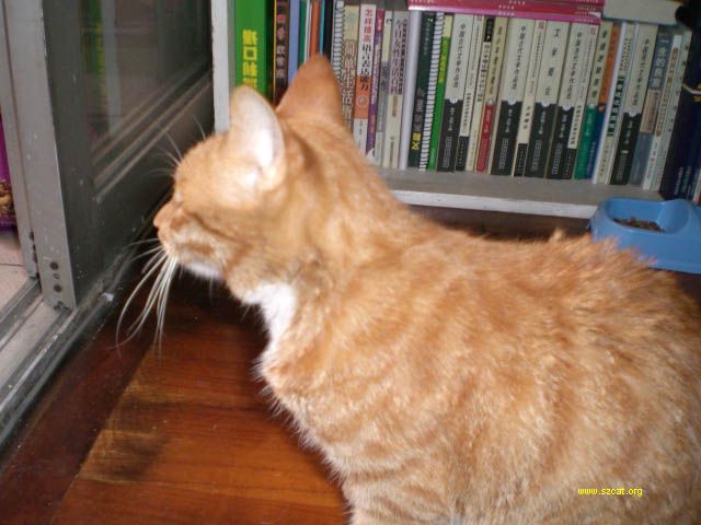 2006103113284939355.jpg