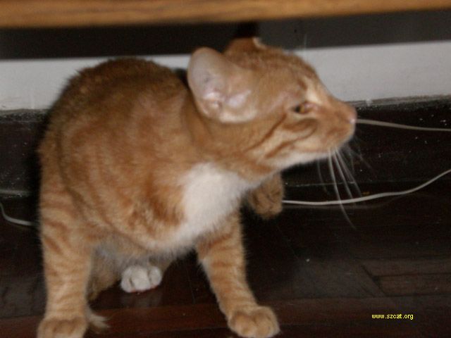 200610311330248995.jpg
