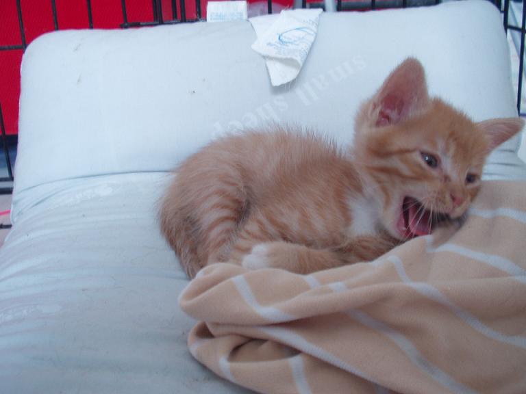 20070814_260e626c9683e8e9f7d5h1CbvvZtIdAe.jpg