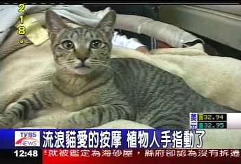 20070815_9281e9721b1242819f1eAi9AnOEHP4pJ.jpg