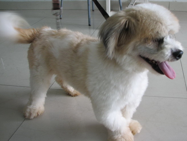 20070823_21b3499e779b497543edlxzewb8qiwfn.jpg