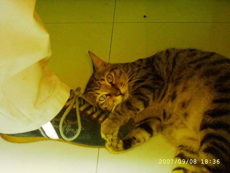 20070915_40ae63f85b9d6a5fd14ach5rinnpmp9c.jpg
