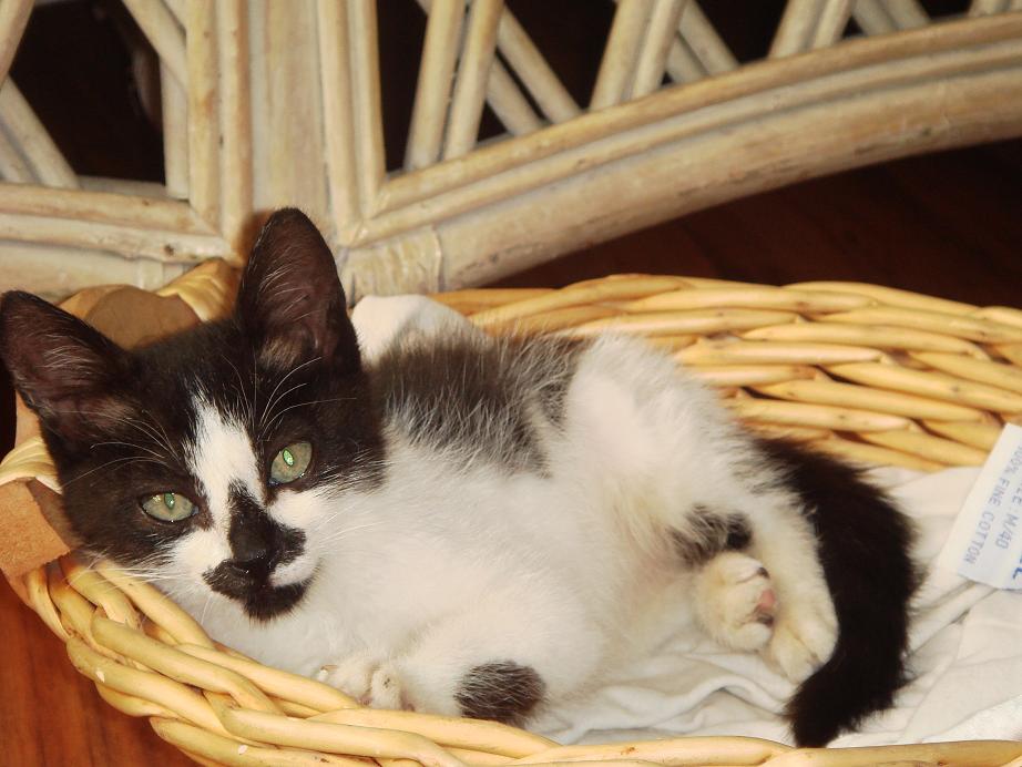 <em>台湾妹中文娱乐网bbmm</em>_台湾妹中文娱乐网22