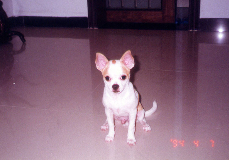 大家帮忙出个注意,念职教中心高考班,也就是能