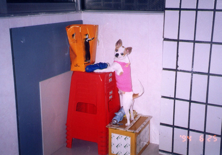 大家帮忙出个注意,念职教中心高考班,也就是能