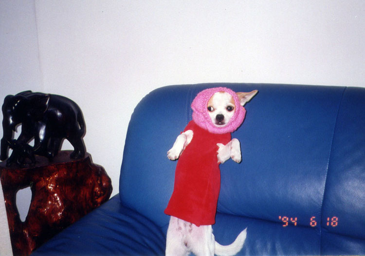 大家帮忙出个注意,念职教中心高考班,也就是能