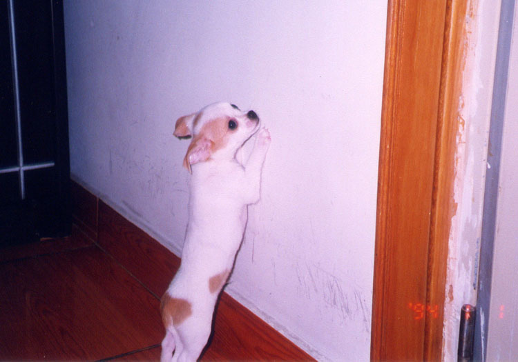 大家帮忙出个注意,念职教中心高考班,也就是能