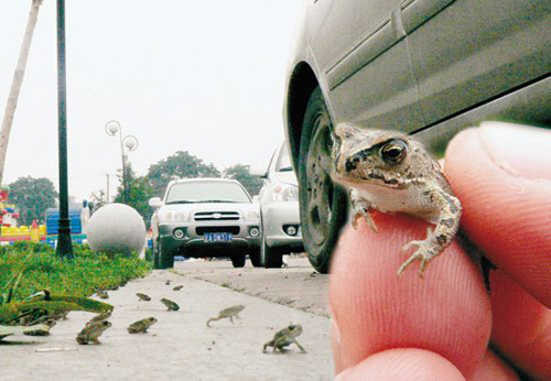 四川汶川地震死亡人数_四川汶川地震死亡图片