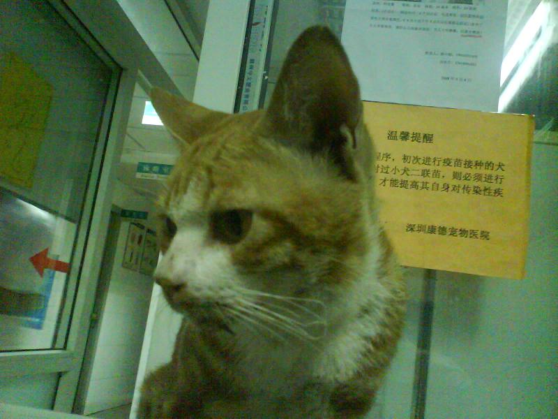 20081023_21a69010aacf237e39f8kN29b2iU4eux.jpg